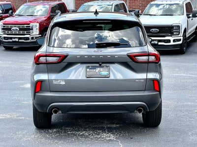 2025 Ford Escape ST-Line Select