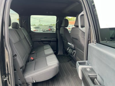 2026 Ford F-150 STX LOBO